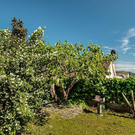 Green Garden Apartments Herceg Novi Exterior foto